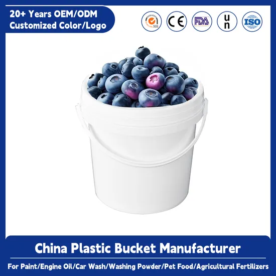 Custom Cheap Small Large 2L 5L 10L 20L 25L 5 Gallon Food Grade Safe Paint/Popcorn/Water White Plastic Buckets with Lids Handle