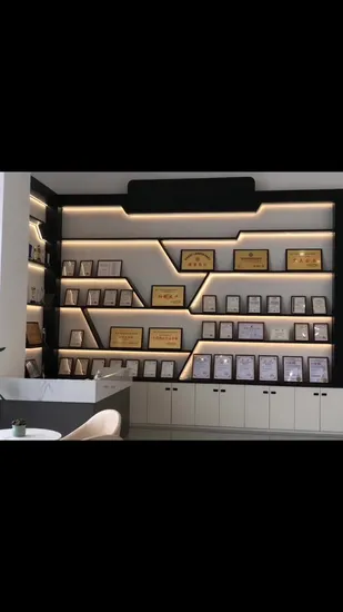 Excavator Recoil Spring Idler, Track Adjuster, Recoil Spring Assy